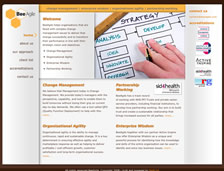 BeeAgile: web design, front-end development